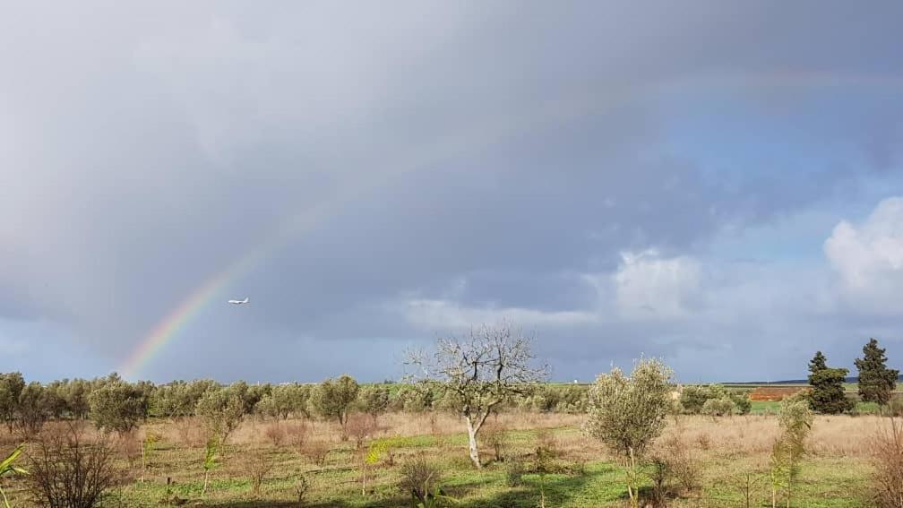 الدار البيضاء Villa Green Flower المظهر الخارجي الصورة